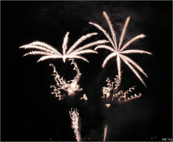 img00005.jpg