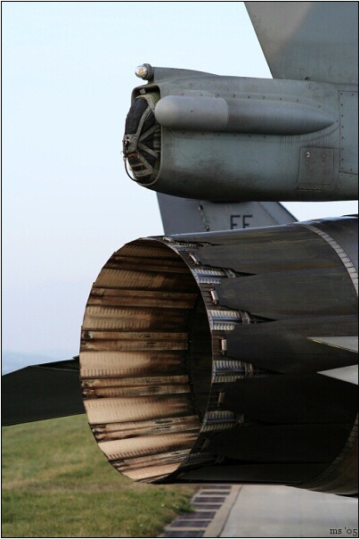 img00006.jpg