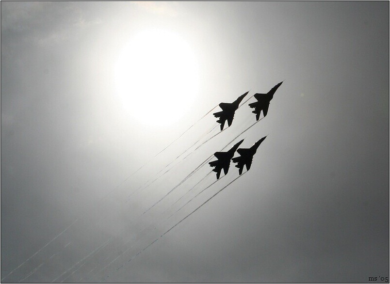 img00031.jpg