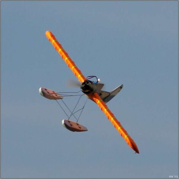 img00009.jpg