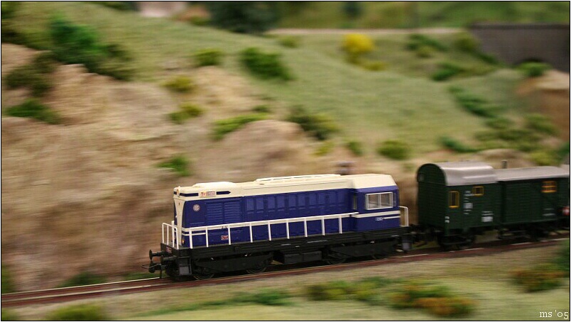 img00011.jpg