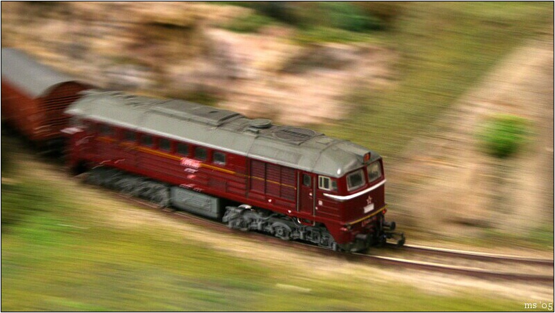 img00014.jpg
