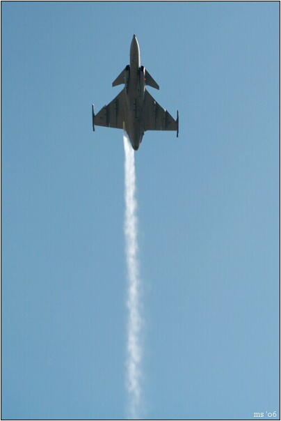img00008.jpg