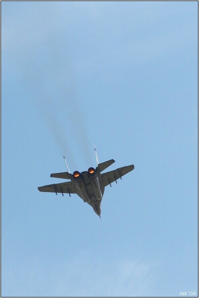 img00017.jpg