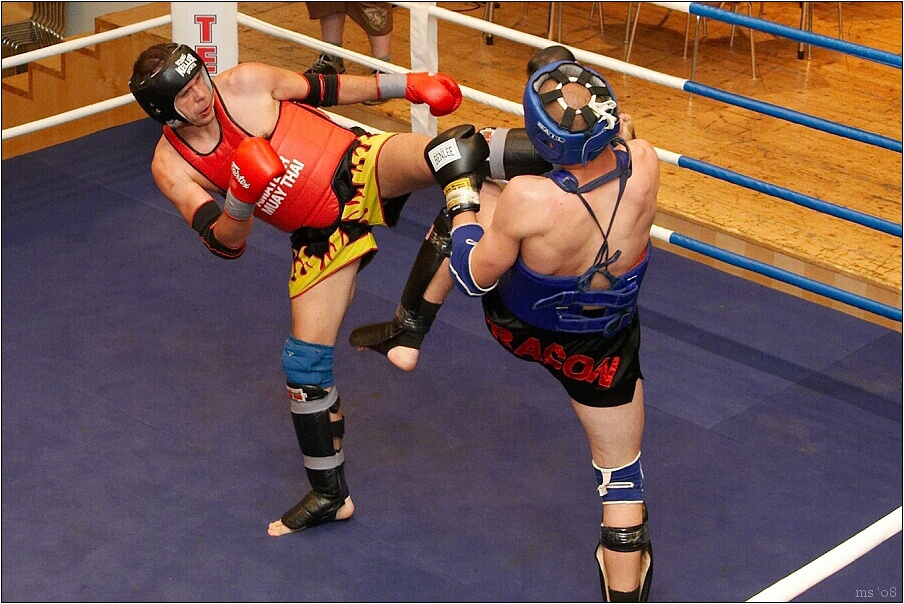 img00005.jpg