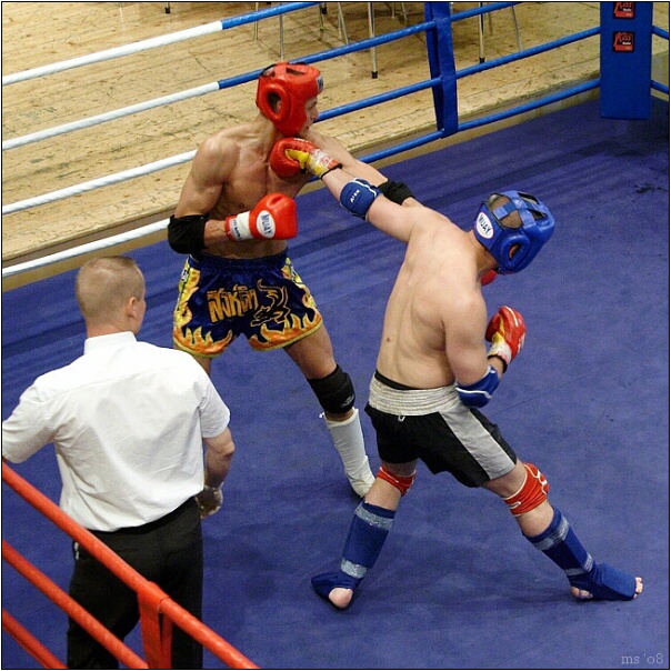 img00008.jpg
