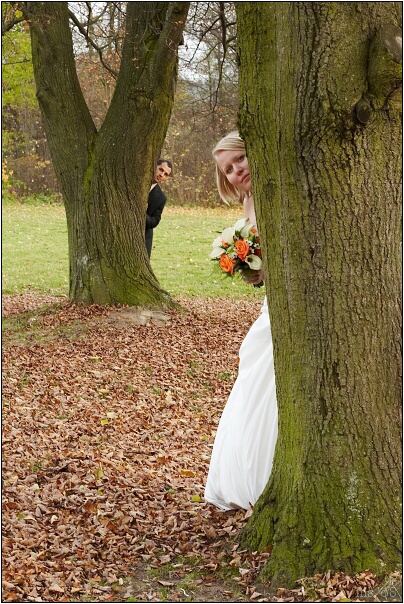 img00065.jpg