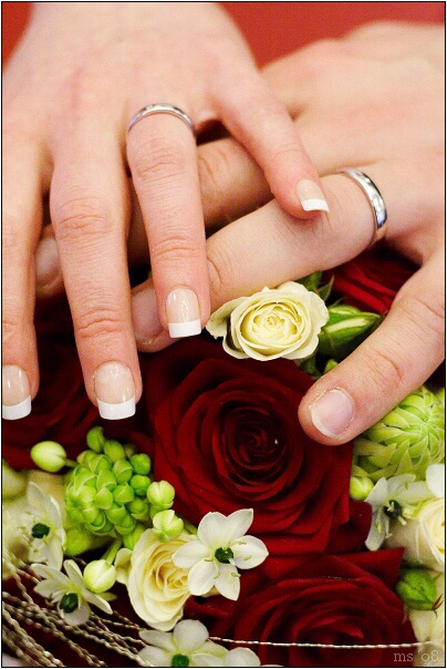 img00047.jpg
