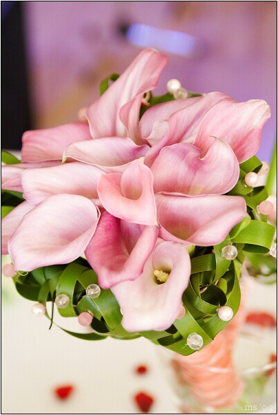 img00046.jpg