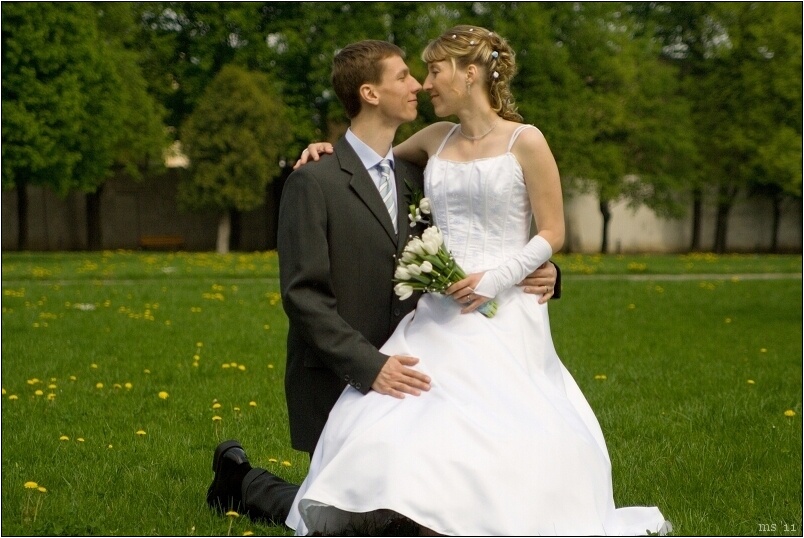 img00025.jpg