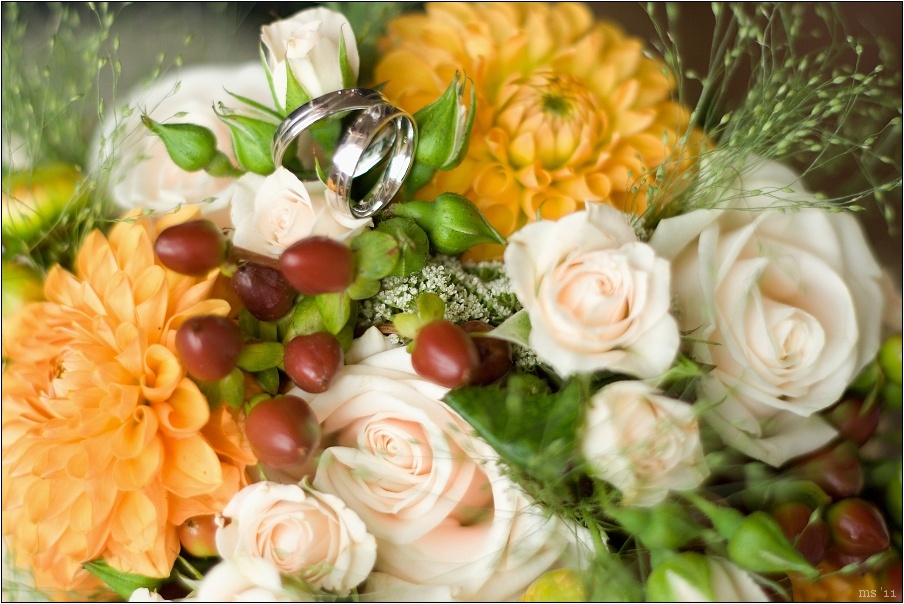 img00031.jpg