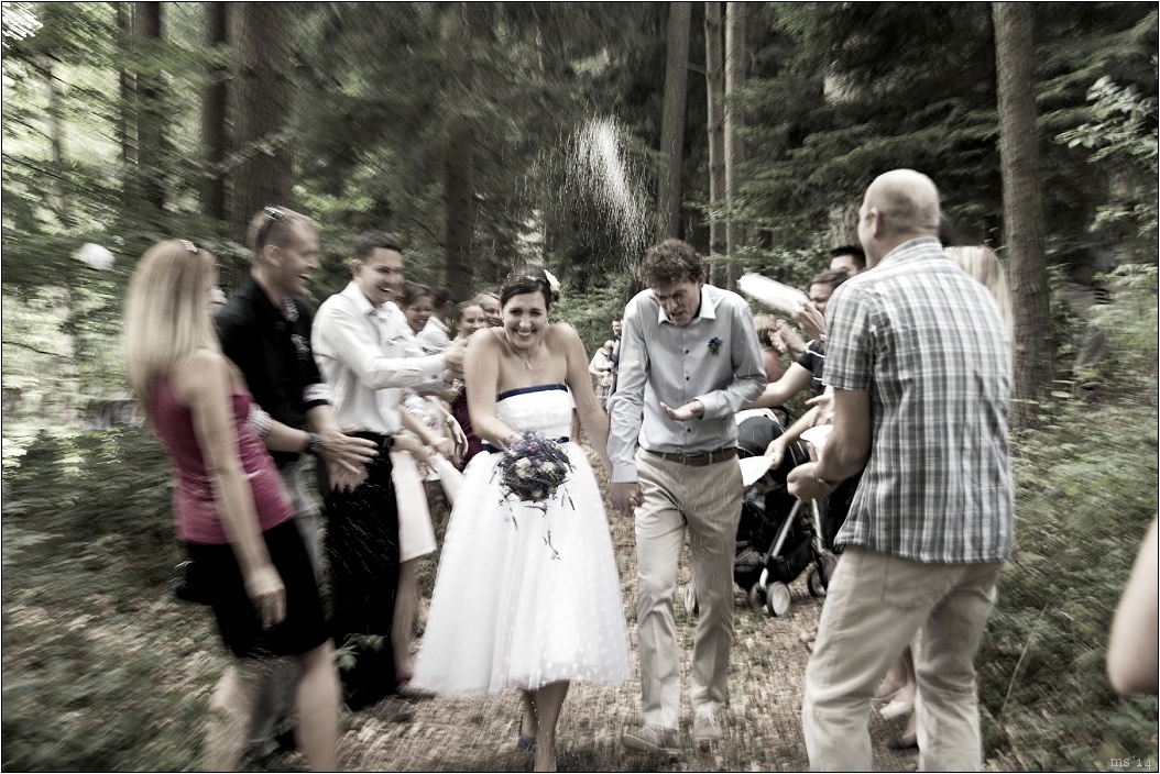 img00016.jpg