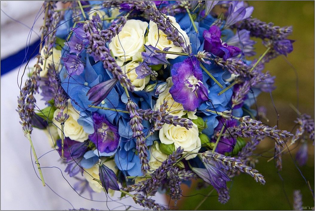 img00019.jpg