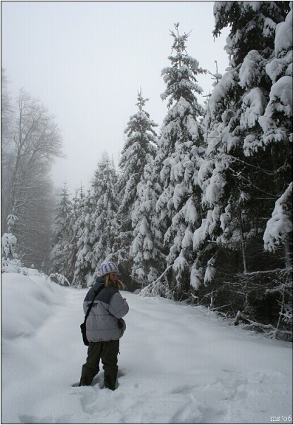 img00002.jpg
