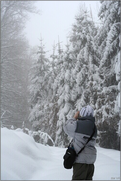 img00004.jpg
