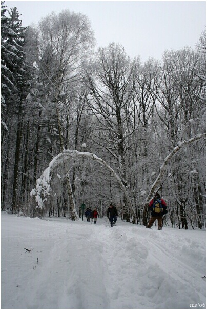 img00006.jpg