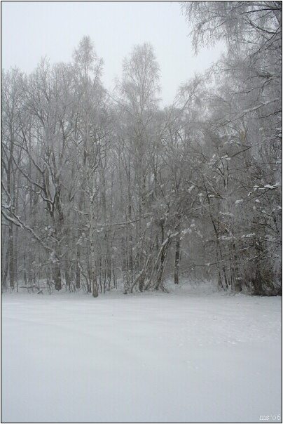 img00008.jpg