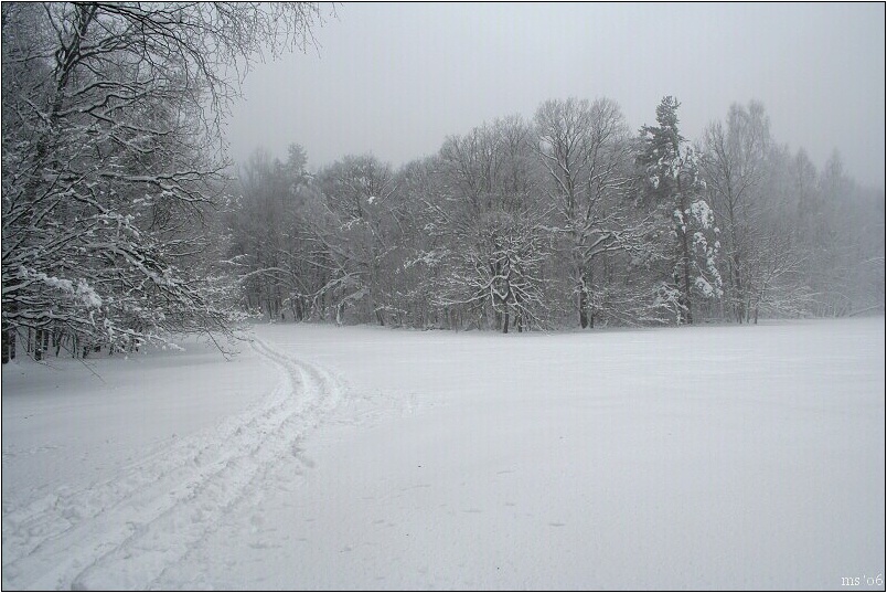 img00009.jpg