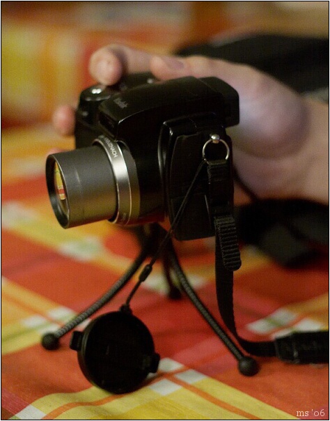 img00009.jpg