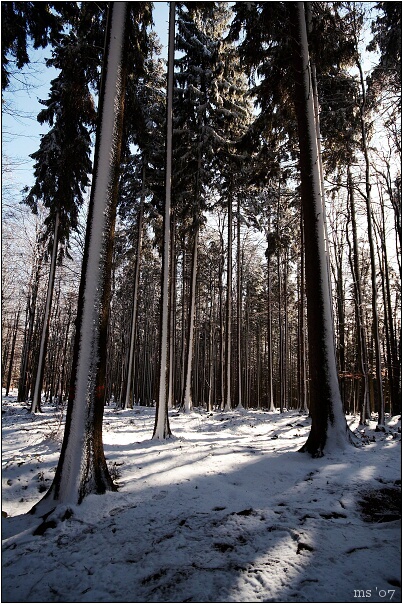 img00006.jpg