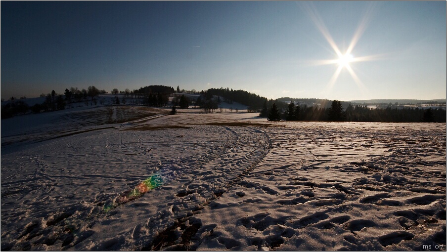 img00016.jpg