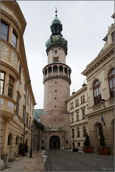 img00005.jpg