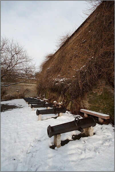 img00010.jpg