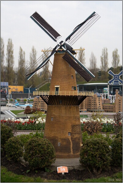 img00011.jpg