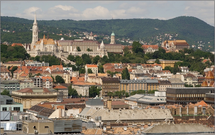 img00005.jpg