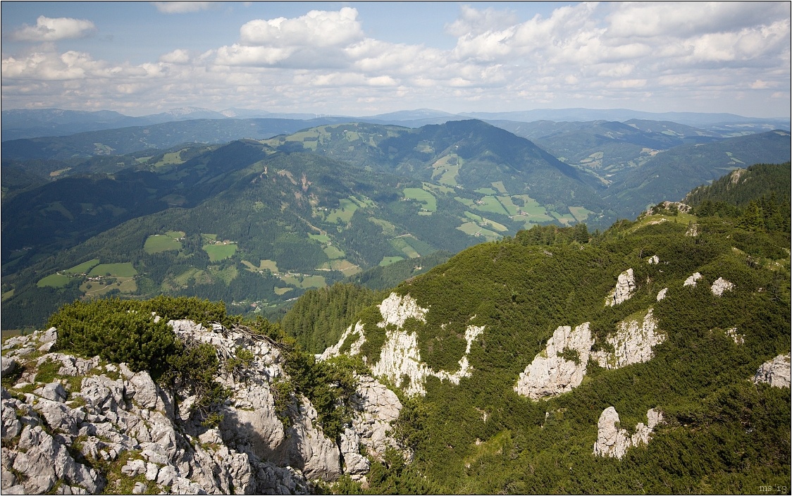 img00008.jpg