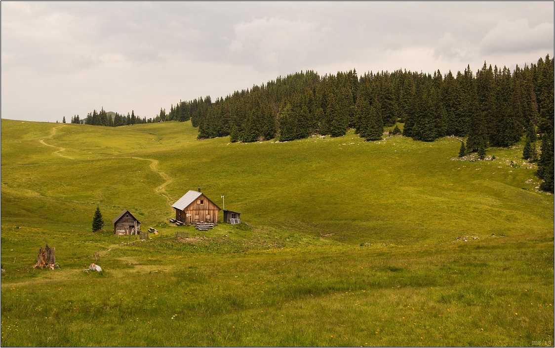 img00028.jpg