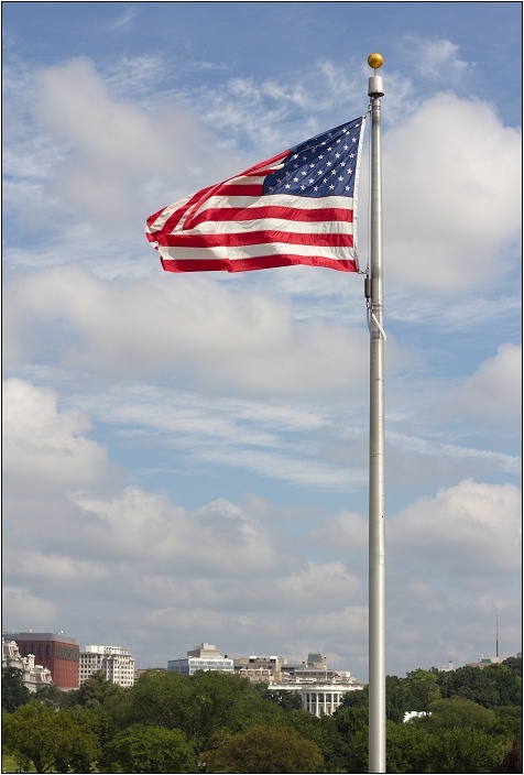img00005.jpg